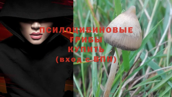 синтетический гашиш Белокуриха