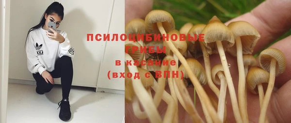индика Богданович