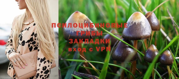 синтетический гашиш Белокуриха