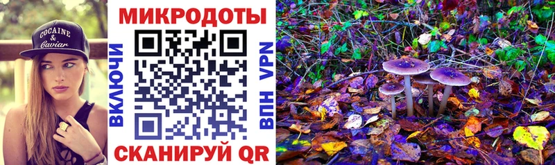 Псилоцибиновые грибы Psilocybe  кракен сайт  сайты даркнета Telegram  Кондрово 
